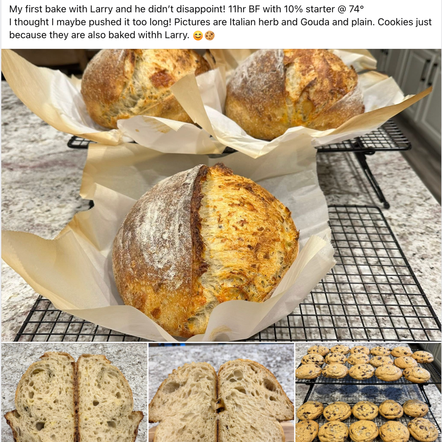 Chef James Bridges Official Sourdough Starter