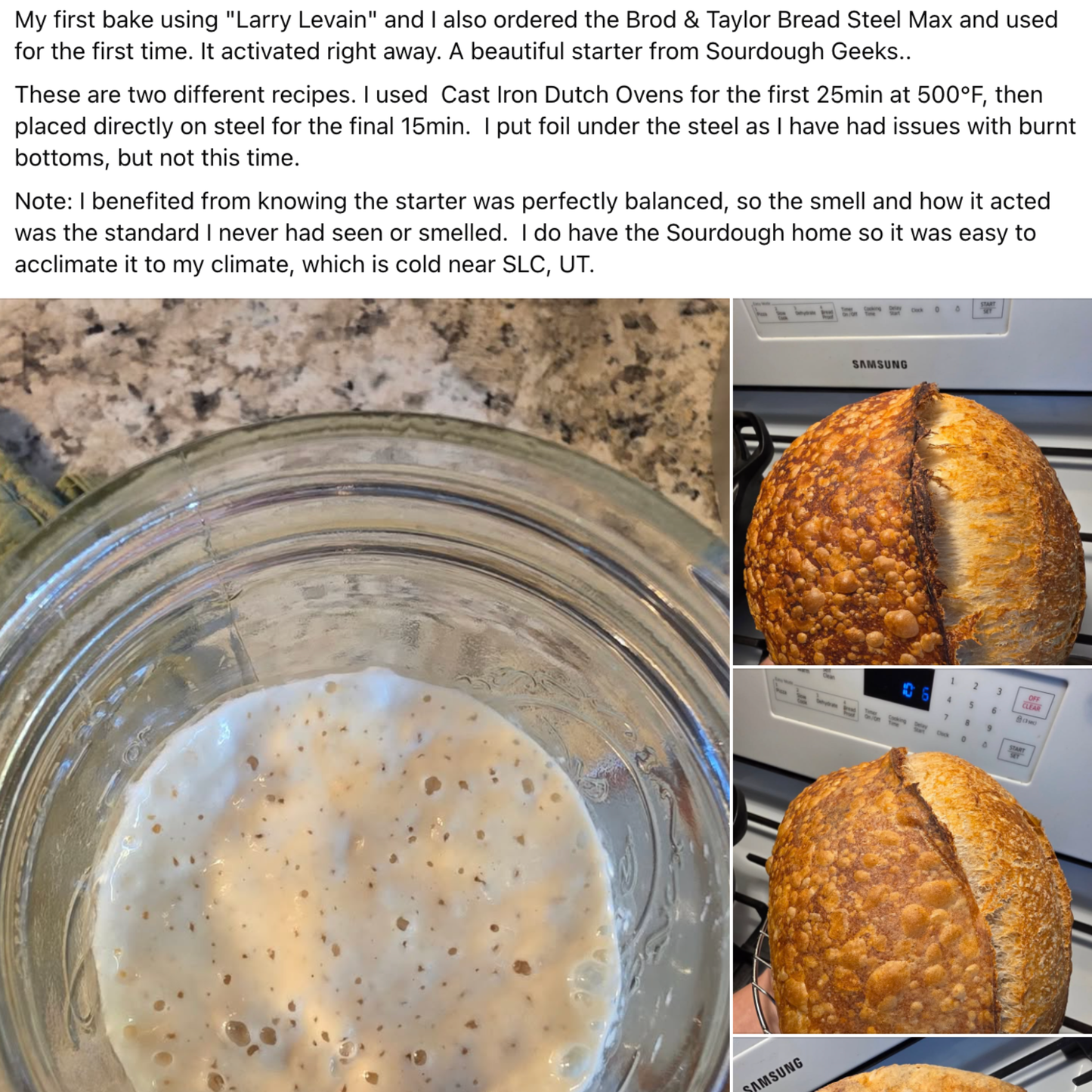 Chef James Bridges Official Sourdough Starter