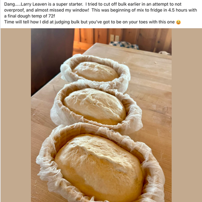 Chef James Bridges Official Sourdough Starter