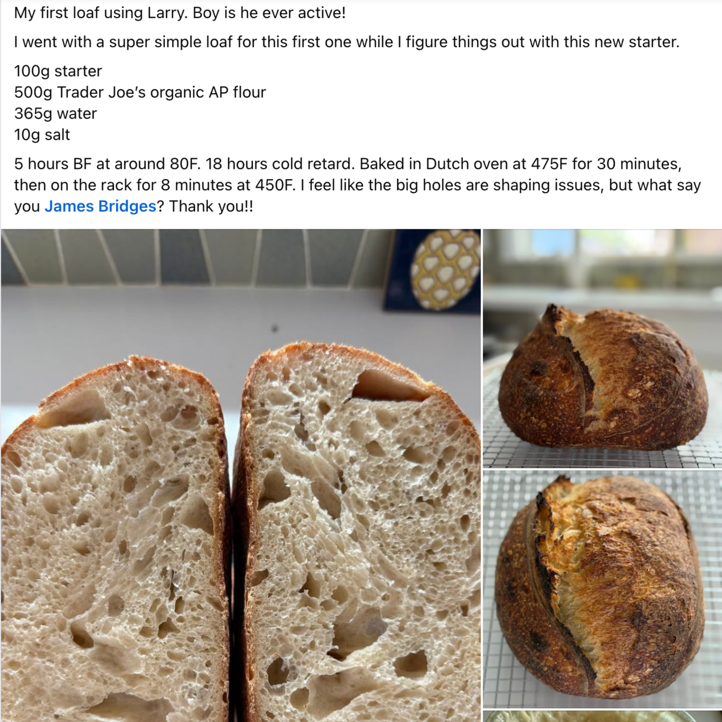 Chef James Bridges Official Sourdough Starter