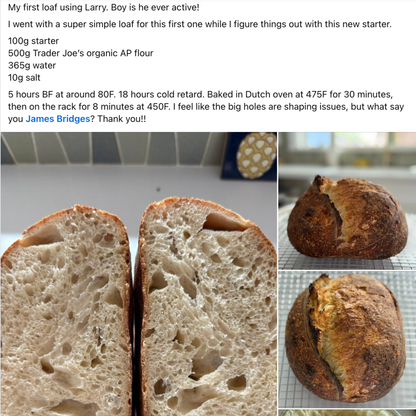 Chef James Bridges Official Sourdough Starter